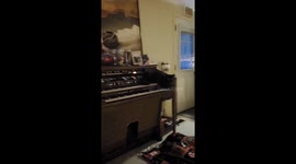 Black cat sits on piano, generating eerie noise out of a horror film