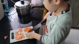 Diligent toddler helps mom preparing food daily