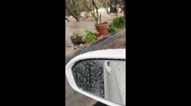 Dog park in California turns into a swimming pool after intense storm causes creek to flood entire neighbourhood