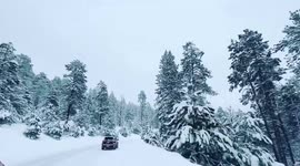 US: Record-Breaking Snowstorm Pummels Northern Arizona 2