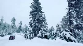 Majestic-looking, record-breaking snowstorm slams Arizona