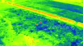 Wildlife rangers push dozens of elephants back to forest after invading Thai village and destroying crops