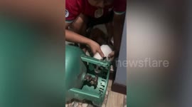 Mischievous pet puppy with head stuck in gas cylinder's rescued