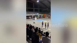 Energetic stray dog joins basketball match in the Philippines