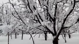 Heavy snowfall in Pulwama, Kashmir, India