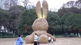 A Rabbit Made of Ginkgo Leaves In Yichang, China
