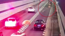 Road hog! Pigs tumble off back of transport truck in eastern China