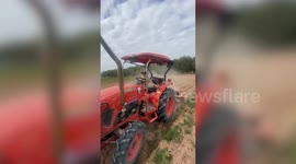 Charming pet dog rides moving tractor at farm in Thailand