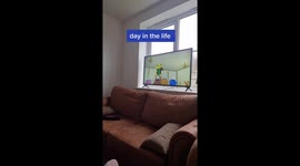 Couple aim to educate online trolls about their children's conditions