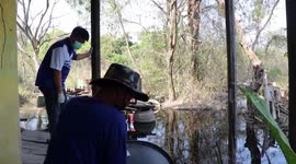 Locals retrieve stray dog stranded in swamp while scavenging food