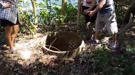 Buffalo that fell into deep well rescued by nearby villagers