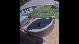 Reckless dog tumbles into a hot tub while running in the flow!