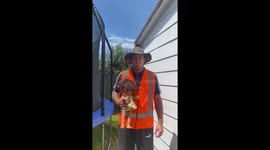 In this comedy skit you’ll see I inspect the safety of my own backyard and offer tips to prevent accidents!!