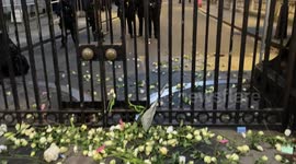 Peaceful protesters throw white roses across a police border on Downing Street in demonstration to honor the victims of COVID vaccine injury