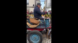 Animal blessing and parade to celebrate the feast of Saint Anthony. Lots of different animals. (Multiple video clips)