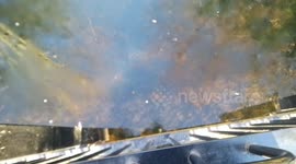 Frozen duck ponds make water fowl confused