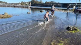 a father and daughter in Sausalito, California ride their bikes through king tide flooding on the swamped bikepath