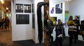 One of the oddest artworks to be displayed at the London Art Fair was this amazing artwork of a moving horse's tail. The artwork was created by Louise Te Poele