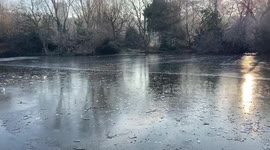 UK cold spell: St James's Park Lake in London covered by ice sheet