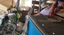Hoarder finds deadly cobra hiding among rubbish in her home