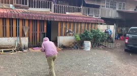 Wild bird attacks resident when it was chased out of property with water