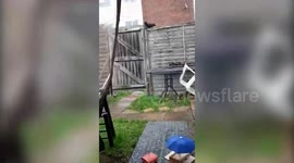 Man creates mini pub garden that attracts rare black squirrels to dine