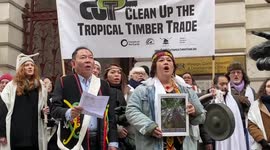 Mourning ceremony for rainforests outside FCO in London