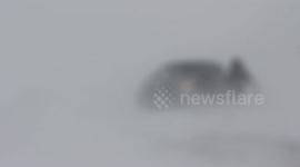 Feb 19, 2022 Ontario Blizzard