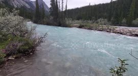 Kootenay Plains Ecological Reserve