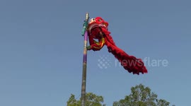 Chinese New Year: Lion dancer displays incredible balance as they perform on tall pole