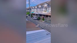 Innocent pet dog rescued when he climbs out on roof to watch sunrise