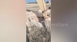 Farmer uses excavator to rescue cow stuck in muddy pit in Cambodia