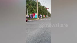 Stray dog hilariously fakes leg injury while crossing road