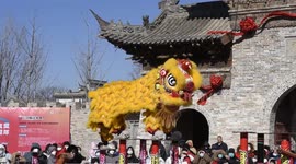 Audiences Watch A Lion Dance Performance in Zhengzhou, China