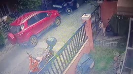 Excited pet dog rushes to ride motorcycle with owner