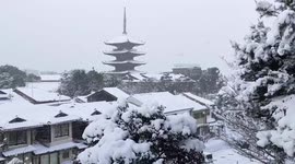 Snow covers roofs during cold spell in Kyoto, Japan