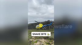 Couple's camping trip turns into nightmare after boyfriend gets bitten by one of the world's most deadly snakes