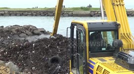 Padang beach becomes a sea of garbage