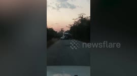 Hungry wild elephant stops trucks to steal food along forest road in Thailand