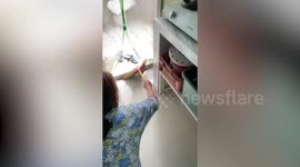 Housewife battles to remove wild snake from home using broom
