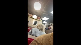 3am Waffle House Fight