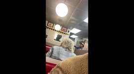 Fight breaks out at 3am in Waffle House and dude throws a glass at Waffle House employee