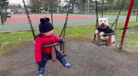 The cutest video of 11 month baby & westie dog on the swings