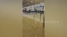 Auckland Airport check-in desks flooded amid severe rain in New Zealand