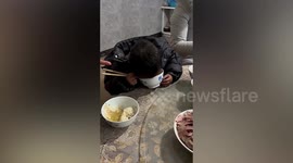 Tired toddler's face ends up in his bowl of noodles as he falls asleep eating