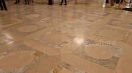 Bat flies in New-York Public Library 2023 . Chauve-souris vole dans la bibliothèque centrale de New-York 2023