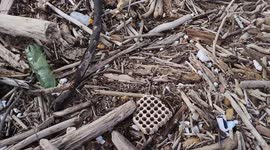 After the heavy rains and the abundant rainfall that caused strong storm surges and the flooding of the Volturno river and its overflowing, waste of all kinds poured onto the beaches of Castel Volturno.