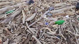 After the heavy rains and the abundant rainfall that caused strong storm surges and the flooding of the Volturno river and its overflowing, waste of all kinds poured onto the beaches of Castel Volturno.