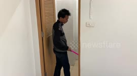 Rat snake found inside terrified woman's toilet rescued in Thailand