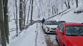 A man miraculously survived after a 7-tonne tree fell on his moving car